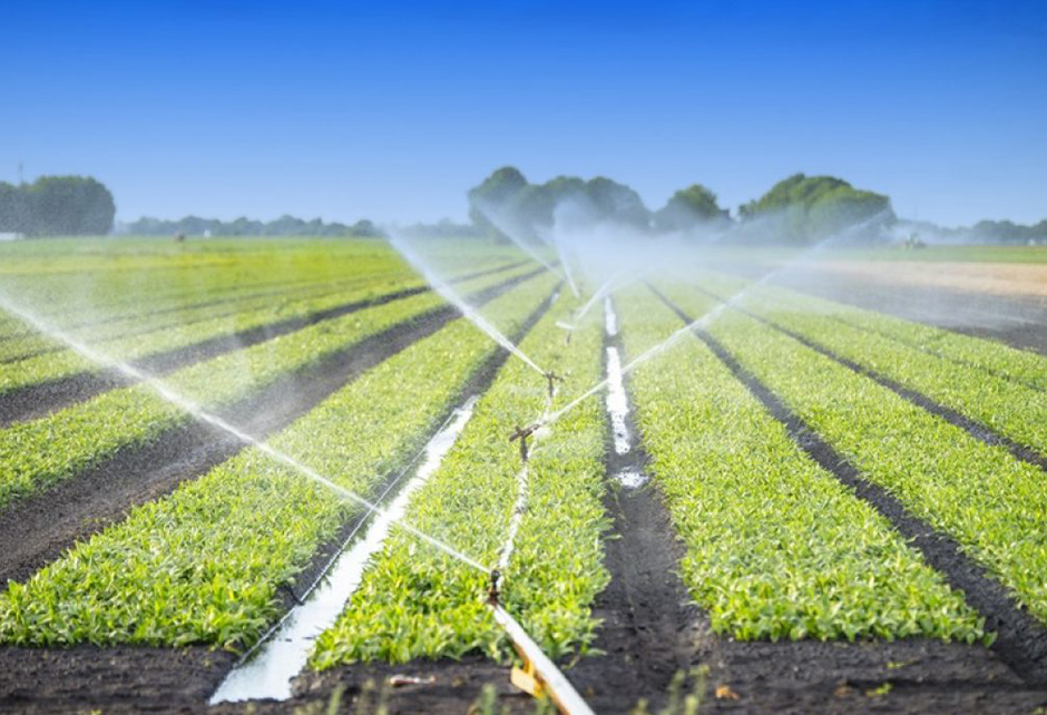 Irrigation and Agriculture Projects